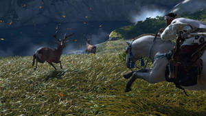 Jin Sakai Chasing Deer Ghost Of Tsushima Wallpaper