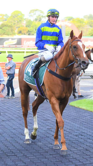 Jockey Jamie Kah Riding High On The Race Track Wallpaper