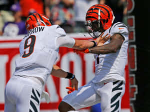 Joe Burrow Ja Marr Chase Celebration Wallpaper