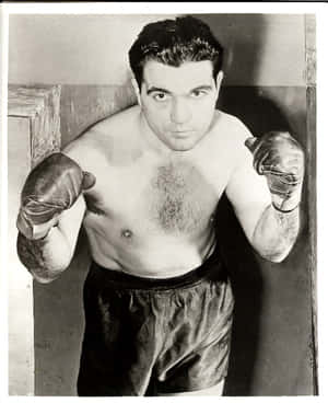 Joey Maxim Chest Hair Wallpaper