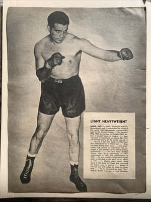 Joey Maxim Write-up Wallpaper