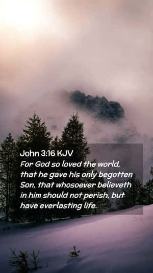 John_3_16_ Biblical_ Verse_ Winter_ Landscape Wallpaper