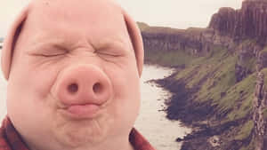John Pork Character Closeup Wallpaper