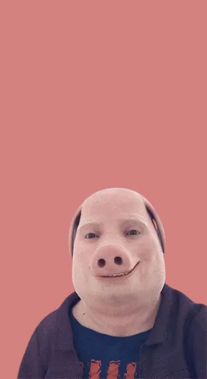 John Pork Character Design Wallpaper