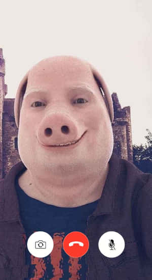 John Pork Face Filter Wallpaper
