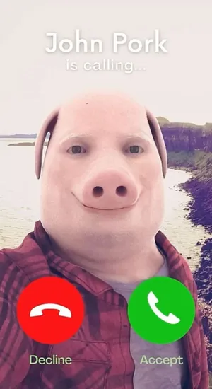 John Pork Incoming Call Wallpaper