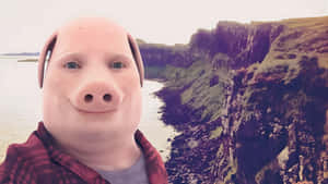 John Pork Scenic Landscape Wallpaper