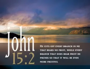 John152 Bible Verse Nature Backdrop Wallpaper
