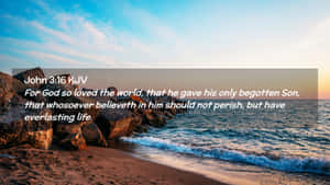 John316 Bible Verse Beach Backdrop Wallpaper