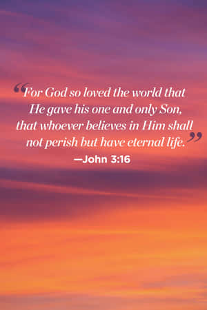 John316 Bible Verse Sunset Background Wallpaper