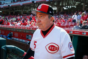 Johnny Bench Reds Uniform Dugout Wallpaper