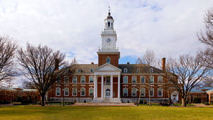 Johns Hopkins University Bare Trees Wallpaper