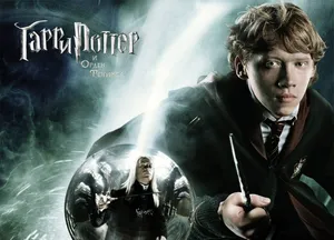 Join The Order Of Phoenix And Stand Up To Evil Wallpaper