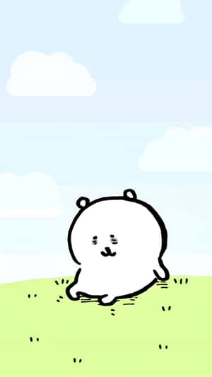 Joke Bear Relaxing Outdoors Wallpaper