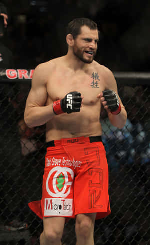 Jon Fitch Standing Octagon Ufc 141 Wallpaper