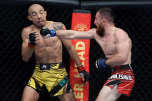 José Aldo Takes Punch From Mcgregor Wallpaper