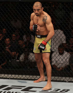 José Aldo - Ufc's Toughest Featherweight Champion Wallpaper