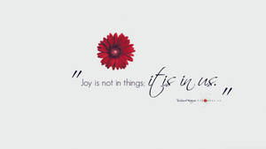 Joy Red Daisy Wallpaper