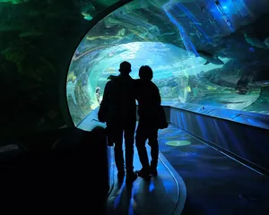 Joyful Family Day Outdoors Wallpaper