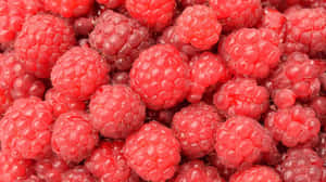 Juicy Red Fruit On The Vine Wallpaper