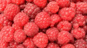 Juicy Red Fruit On The Vine Wallpaper