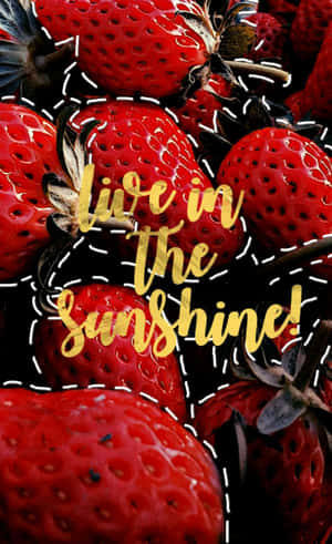 Juicy Red Strawberry Wallpaper