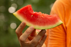 Juicy Watermelon Slice Held Hand Wallpaper