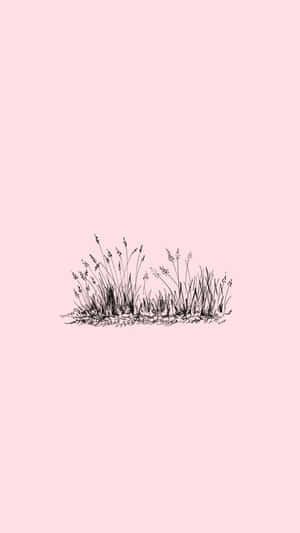 July Pink Grass Sketch Wallpaper