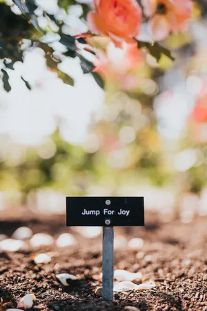 Jump For Joy Happy Signage Wallpaper