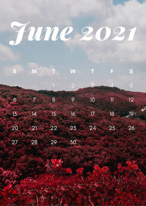 June 2021 Calendar Iphone Screen Wallpaper