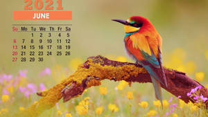 June 2021 Calendar Wallpapers Wallpaper