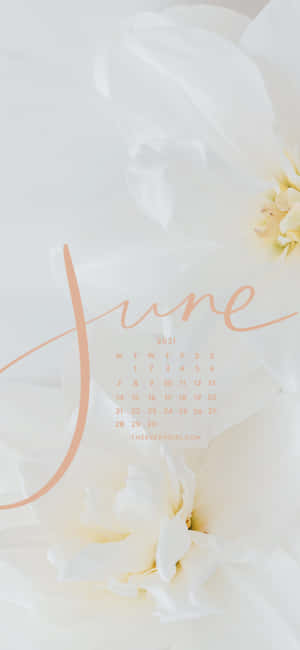 June Calendar With White Flowers Wallpaper