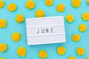 June Desktop Calendar Dandelions Blue Background Wallpaper