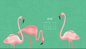 June Flamingo Calendar Wallpaper Wallpaper