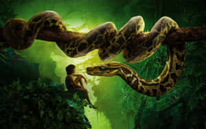 Jungle_ Encounter_with_ Anaconda.jpg Wallpaper