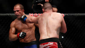 Junior Dos Santos Cain Velasquez Ufc Heavyweight Wallpaper