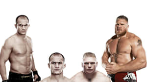 Junior Dos Santos Faces Off Against Brock Lesnar In The Octagon Wallpaper