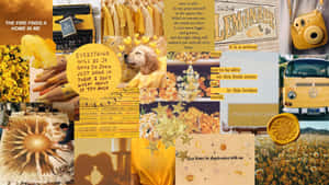 Junk Collage Inspiration Wallpaper