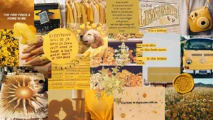 Junk Collage Inspiration Wallpaper