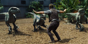 Jurassic World Little Dinosaurs Wallpaper