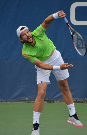 Jurgen Melzer In A Weird Position Wallpaper