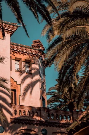 Justin Bieber In Concert - Pop Sensation On Stage Wallpaper