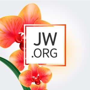 Jworg With Orange Flower Wallpaper