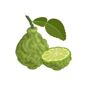 Kaffir Lime Fruit Digital Drawing Wallpaper