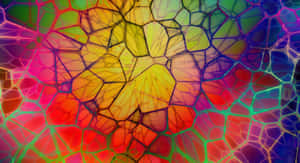 Kaleidoscopic Color Network.jpg Wallpaper