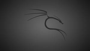 Kali Linux Black Dragon Wallpaper