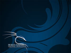 Kali Linux Blue Poster Wallpaper