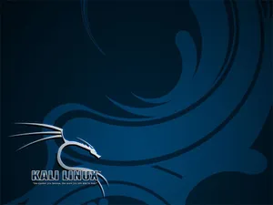 Kali Linux Blue Poster Wallpaper
