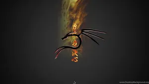 Kali Linux Burning Dragon 3d Wallpaper