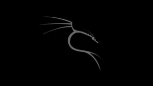 Kali Linux Os Dragon Black Wallpaper
